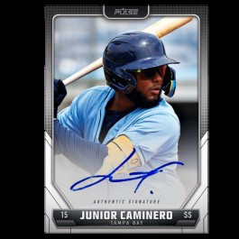 2024 Pulse Baseball Hobby Box
