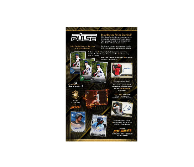 2024 Pulse Baseball Hobby Box